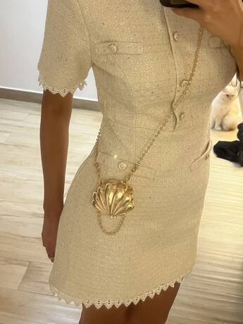 1pc Miniature Shell Shape Crossbody Bag For Women, New Summer Metal Chain Strap Unique Design Clutch Purse, Fashion Shoulder Bag, Elegant Coin Purse